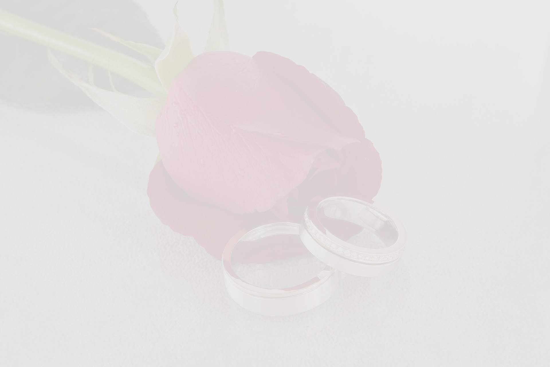 wedding rings background 2 bernd wilhelm jewelry mauritius